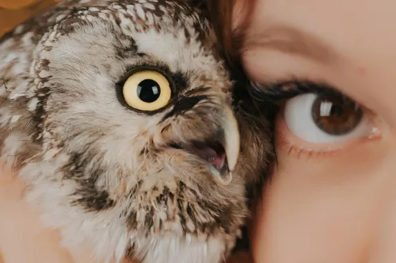 Casino Palace of Chance Supporto